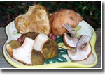 prepared mushrooms