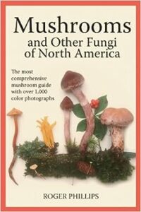 Mushrooms and other fungi