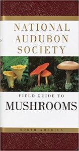 NAS FG Mushrooms