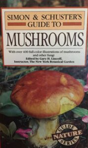 Simon & Schuster’s Guide to Mushrooms